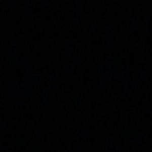 Meet your Posher, Lila